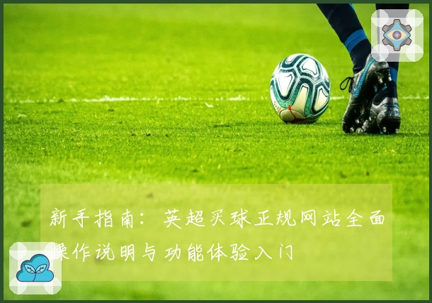 新手指南：英超买球正规网站全面操作说明与功能体验入门
