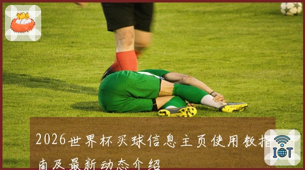 2026世界杯买球信息主页使用教指南及最新动态介绍